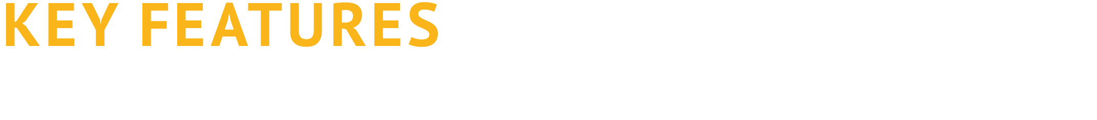 KEY FEATURES OF MPP Licences