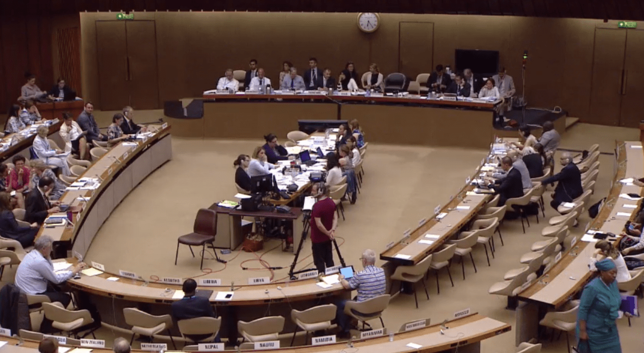 70th World Health Assembly MPP