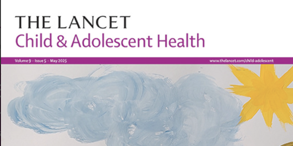 Accelerating access to paediatric medicines: lessons learned from the Global Accelerator for Paediatric Formulations, a WHO-hosted network